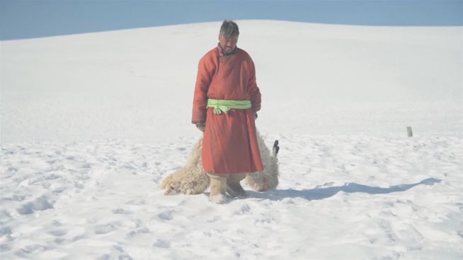 Harte Winter: Wie die Mongolen ums Überleben kämpfen